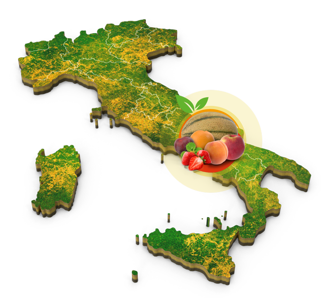 map-ZONA-DI-produzzionelamiaagriculturacoop-it